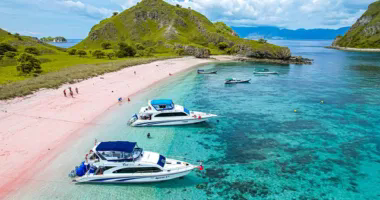 A fruitful cooperation